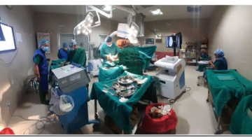 Ortho 5